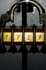 Screenshot #12 - Patient 001