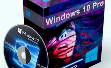 Windows 10 Pro 22H2 Build 19045.3693 Full November 2023