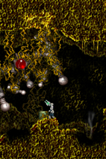 Screenshot #6 - Ex Vitro