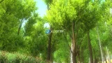 Screenshot #1 - GreenLeaf - Tree Pack 2