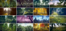 Trees Variety