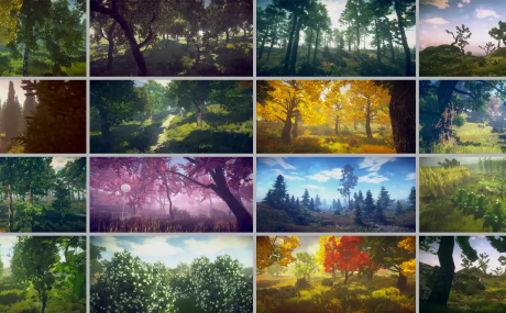 Trees Variety