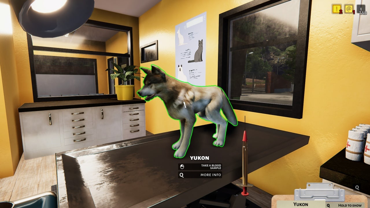 Screenshot #11 - Animal Shelter