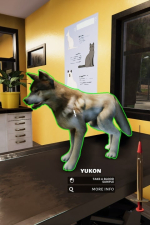 Screenshot #11 - Animal Shelter