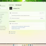 Screenshot #7 - Windows 11 Pro 23H2 Build 22631.5549 Preview