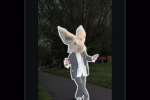 Screenshot #5 - EDITS 410.0.0.62.71