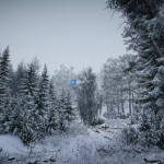 Screenshot #2 - Real Landscapes - Valley Forest