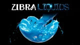 Screenshot #1 - Zibra Liquids