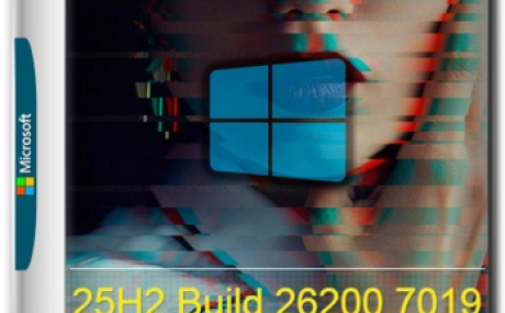 Windows 11 Pro 25H2 build 26200.7019 by OneSmiLe