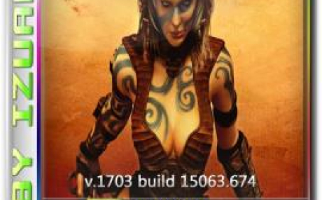 Windows 10 Professional 15063.674 v.1703 by IZUAL (x64)