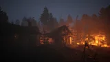 Screenshot #8 - Fallen Hunter