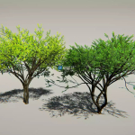 Screenshot #2 - Animated Trees Package