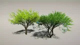 Screenshot #2 - Animated Trees Package