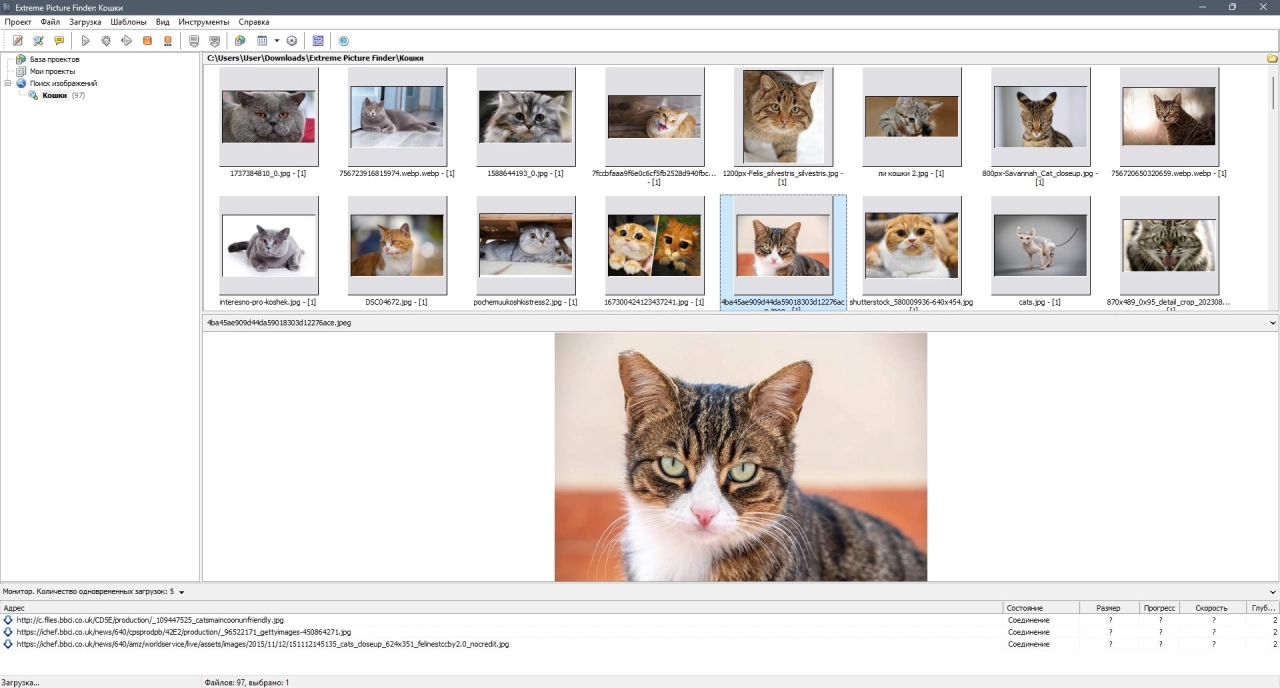 Screenshot #3 - Поиск картинок Extreme Picture Finder 3.65.11.0 RePack by elchupacabra