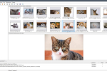Screenshot #3 - Поиск картинок Extreme Picture Finder 3.65.11.0 RePack by elchupacabra