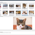 Screenshot #3 - Поиск картинок Extreme Picture Finder 3.65.11.0 RePack by elchupacabra