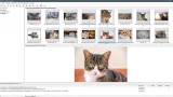 Screenshot #3 - Поиск картинок Extreme Picture Finder 3.65.11.0 RePack by elchupacabra