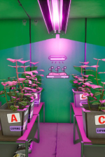 Screenshot #11 - Storage Guys