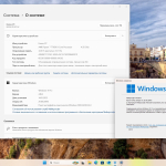 Screenshot #2 - Windows 11 Pro 24H2 Build 26100.2894 Full Январь 2025