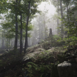 Screenshot #4 - Forest Environment - Dynamic Nature