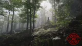 Screenshot #4 - Forest Environment - Dynamic Nature