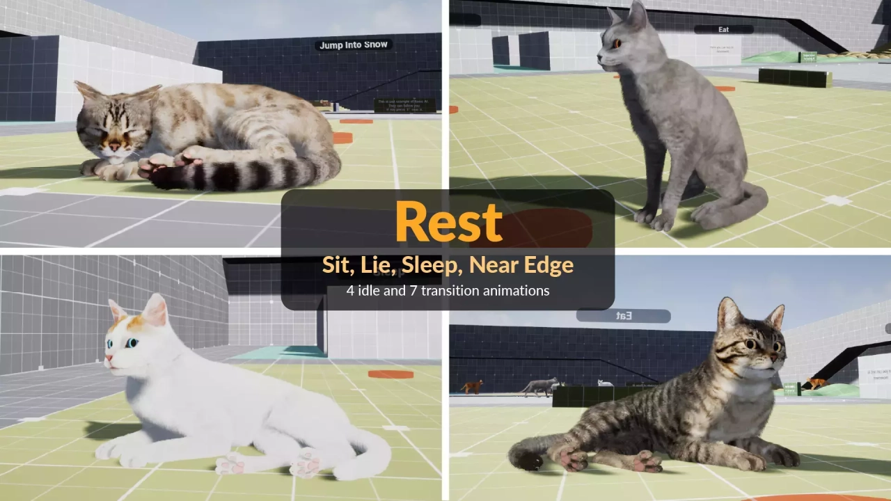 Screenshot #3 - Fully Animated Cats