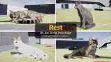 Screenshot #3 - Fully Animated Cats