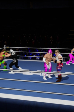 Screenshot #6 - Action Arcade Wrestling