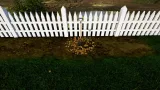 Screenshot #6 - Garden Simulator