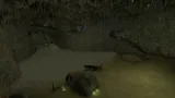 Screenshot #12 - Hunt Down The Freeman