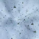 Screenshot #1 - Fly Particle System