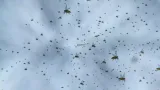 Screenshot #1 - Fly Particle System