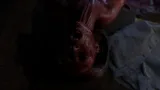 Screenshot #5 - PARANOID