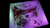 Screenshot #10 - STANDBOX