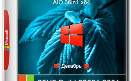 Windows 11 Без приложений 23H2 22631.2861 36in1 x64