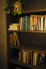 Screenshot #2 - Lost Luminosity