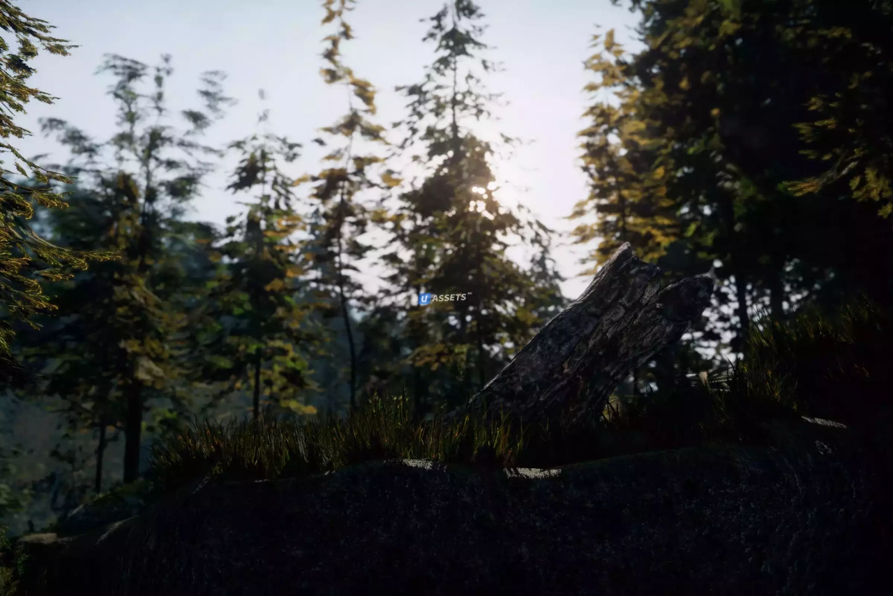 Screenshot #4 - C.V.P - Pine Woods