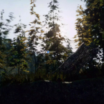 Screenshot #4 - C.V.P - Pine Woods