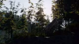 Screenshot #4 - C.V.P - Pine Woods