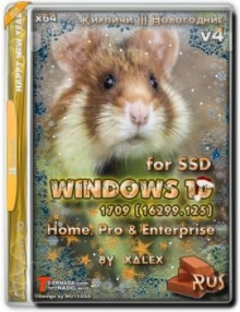 Windows 10 Lite 1709 (16299.125) for SSD v4