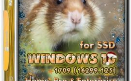 Windows 10 Lite 1709 (16299.125) for SSD v4