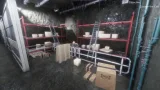 Screenshot #3 - Synthetic Captive