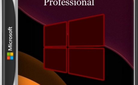 Windows 11 Pro by OneSmiLe 25H2 build 26200.5670