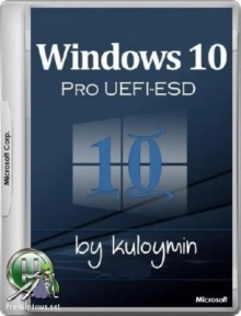 Windows 10 Pro 1709 x86/x64 by kuloymin v12.6
