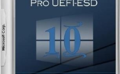 Windows 10 Pro 1709 x86/x64 by kuloymin v12.6