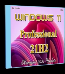 Windows 11 Professional 22000.348 by Tatata (x64)