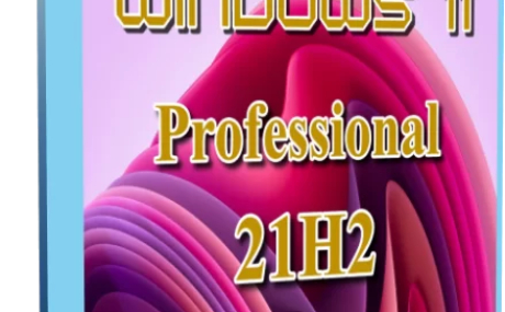 Windows 11 Professional 22000.348 by Tatata (x64)