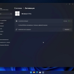 Screenshot #6 - Windows 11 Pro 22H2 22621.1245 by WebUser