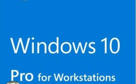 Windows 10x86x64 Pro Для Рабочих Станций 17134.191 (Uralsoft)