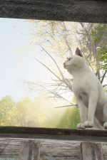 Screenshot #3 - YetiParty